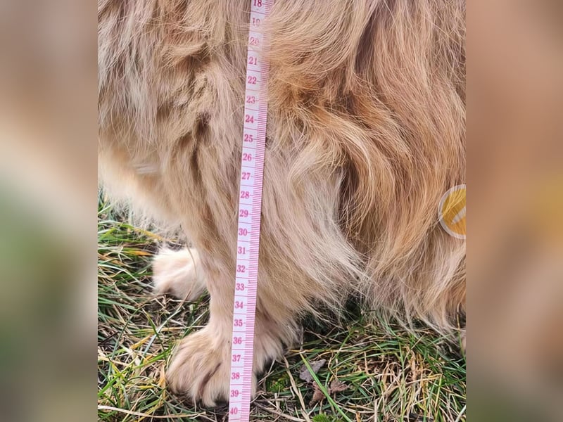 BUDUSEL ♥ - Befreit von der Kette