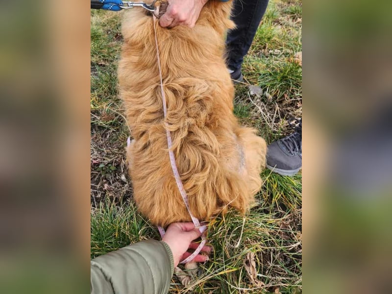 BUDUSEL ♥ - Befreit von der Kette