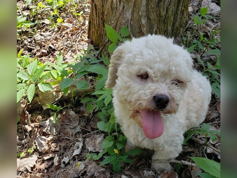 LINA - kleine Herzensdame