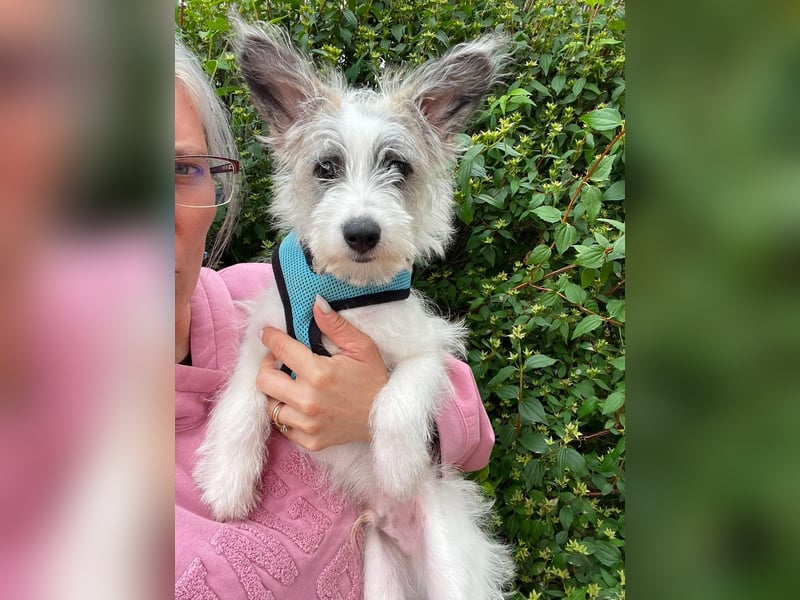 BUGSY - ist bereit für Abenteuer