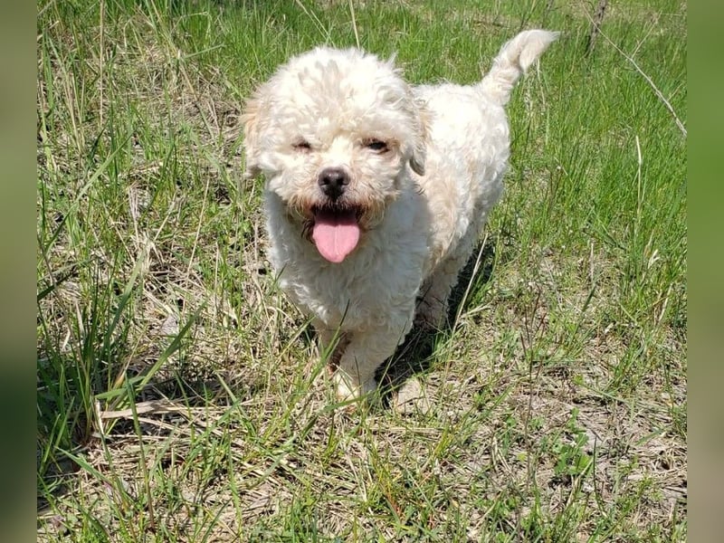 LINA - kleine Herzensdame