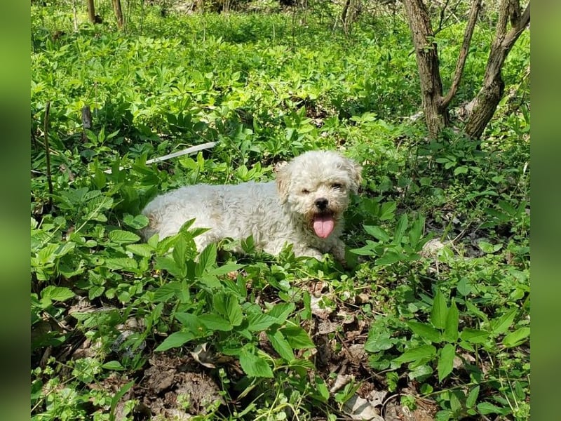 LINA - kleine Herzensdame