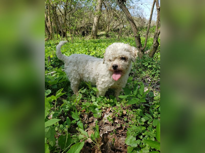 LINA - kleine Herzensdame