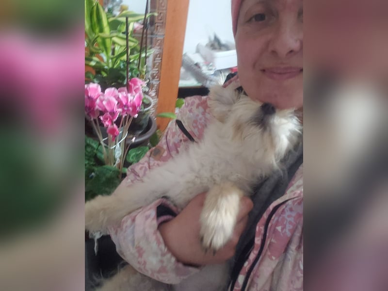 ZSA ZSA - kleine Zuckermaus