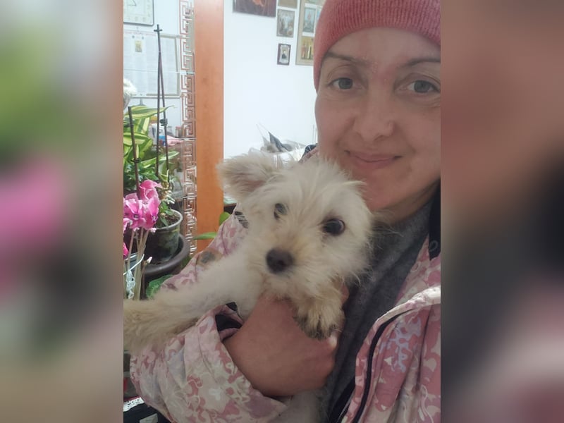 ZSA ZSA - kleine Zuckermaus