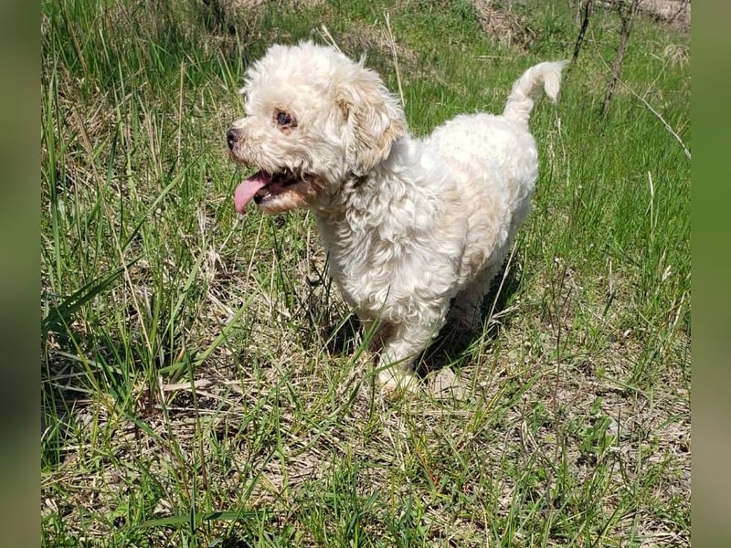 LINA - kleine Herzensdame