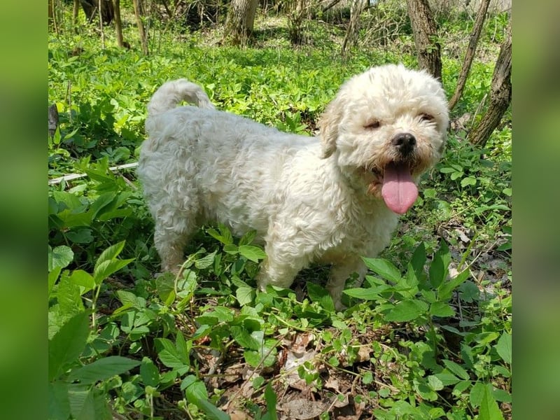 LINA - kleine Herzensdame