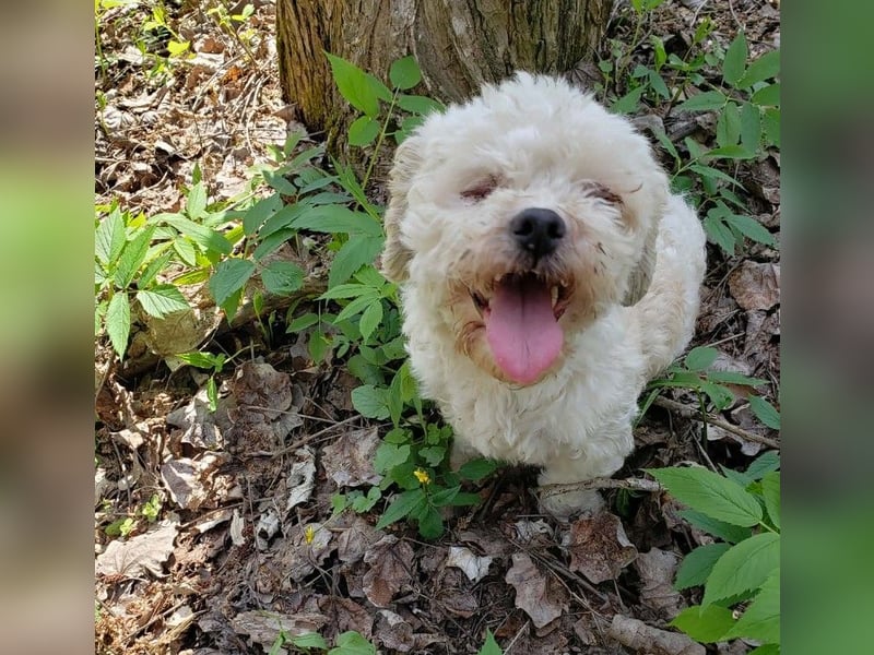 LINA - kleine Herzensdame