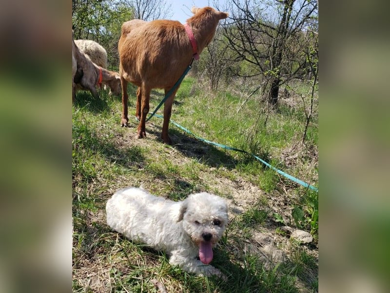 LINA - kleine Herzensdame