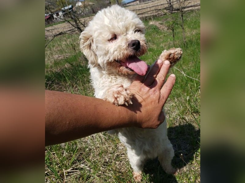 LINA - kleine Herzensdame