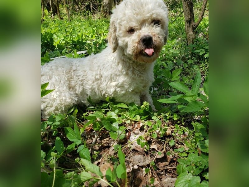 LINA - kleine Herzensdame