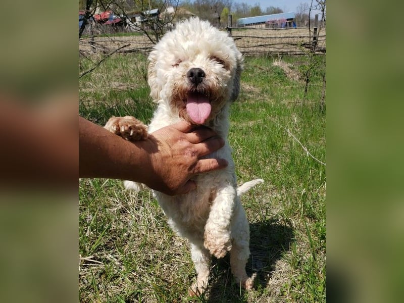 LINA - kleine Herzensdame