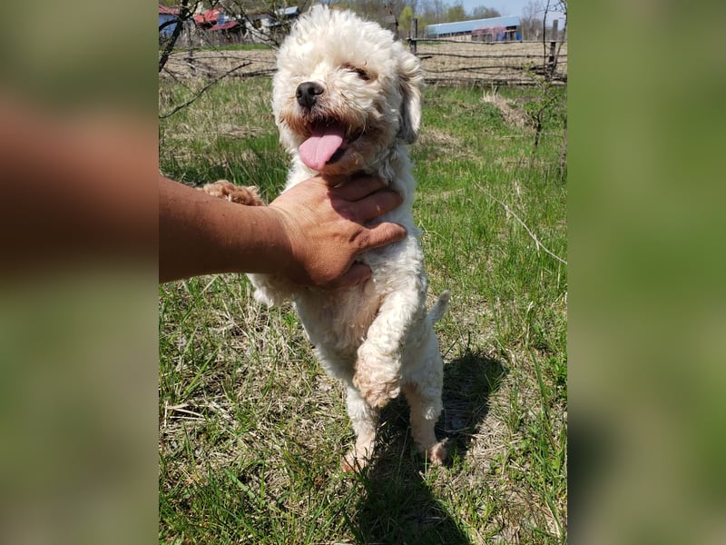 LINA - kleine Herzensdame