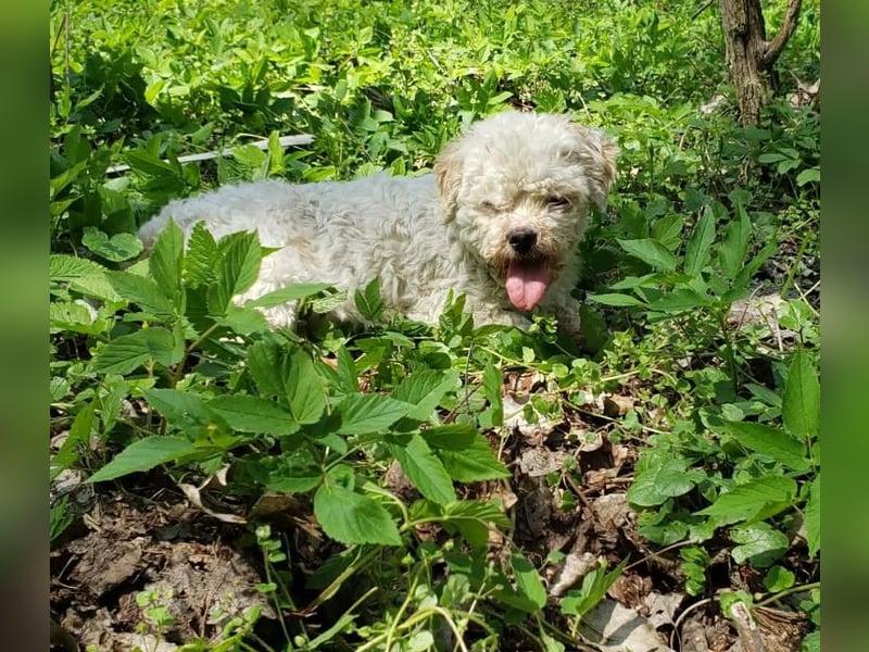 LINA - kleine Herzensdame