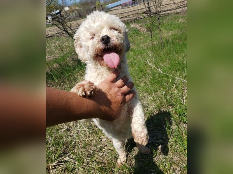 LINA - kleine Herzensdame