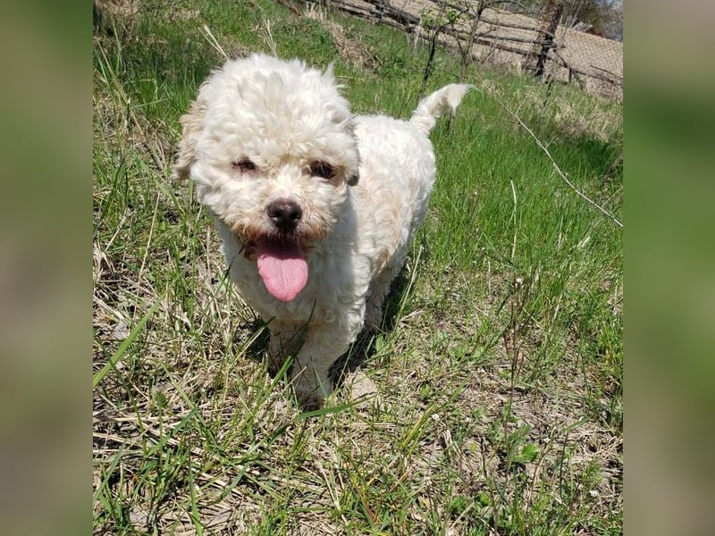 LINA - kleine Herzensdame