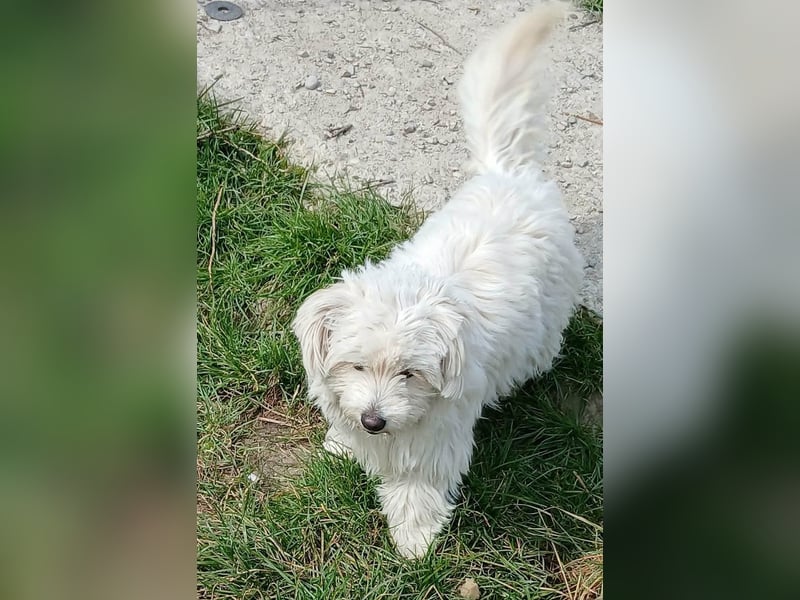 Else - jung und neugierig