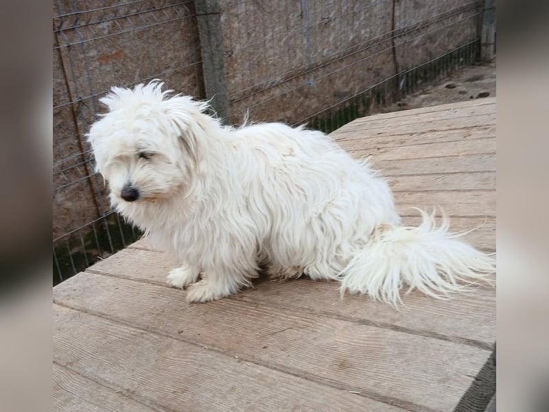 Else - jung und neugierig