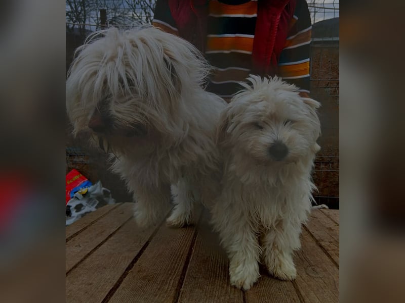 Else - jung und neugierig