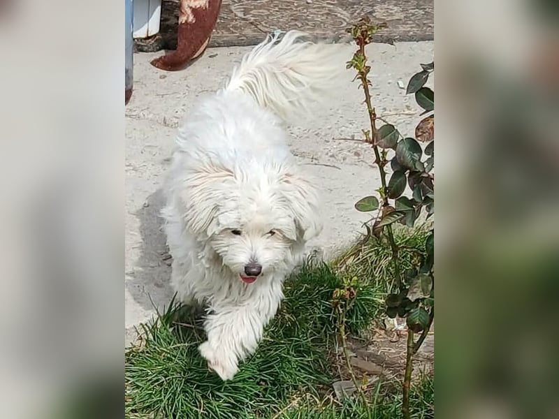 Else - jung und neugierig