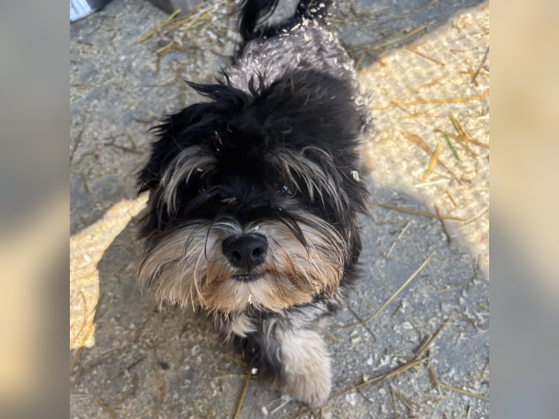 Archie sucht Geborgenheit