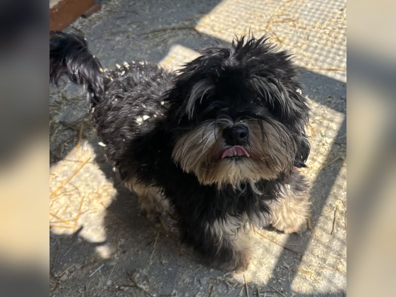 Archie sucht Geborgenheit