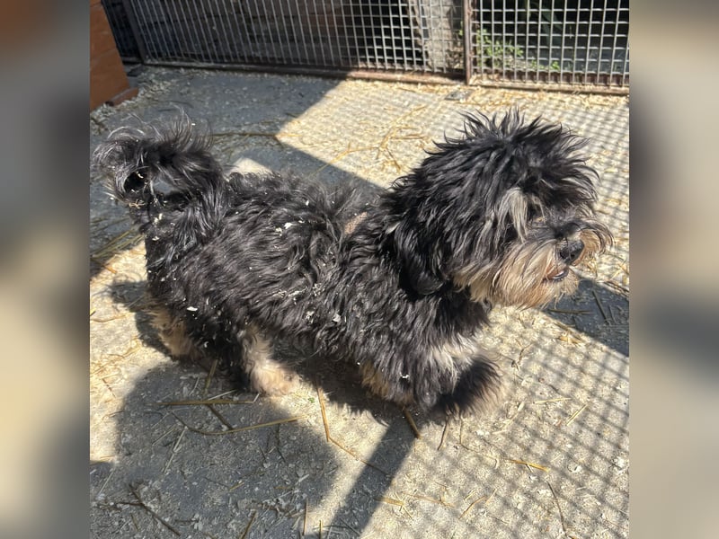 Archie sucht Geborgenheit