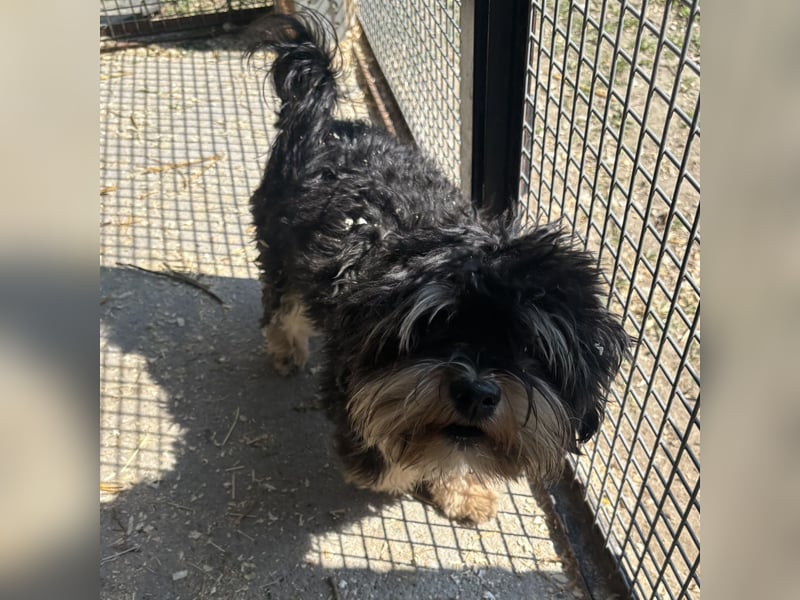 Archie sucht Geborgenheit