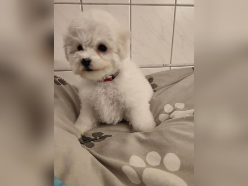 Du suchst mich und ich Dich!