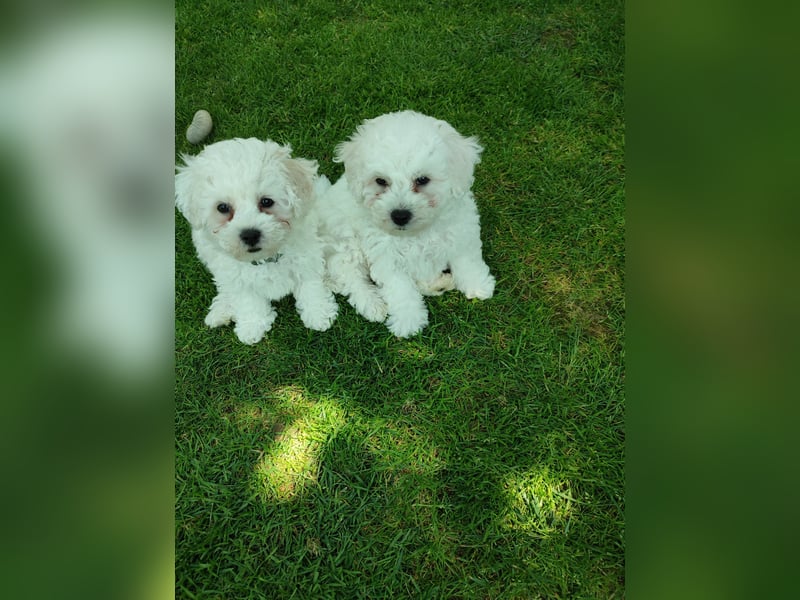 Du suchst mich und ich Dich!