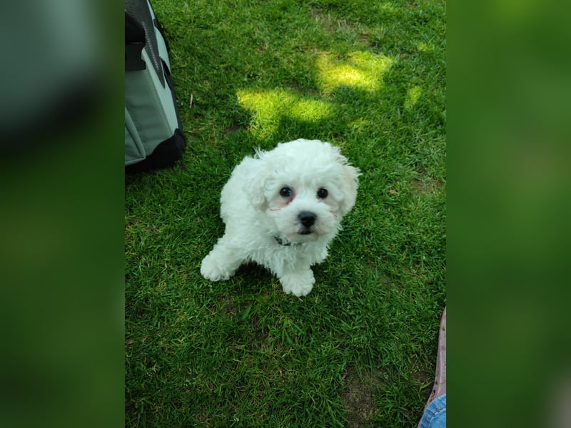 Du suchst mich und ich Dich!