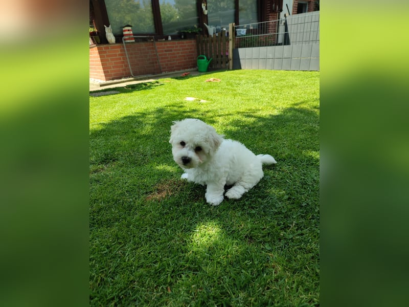 Du suchst mich und ich Dich!