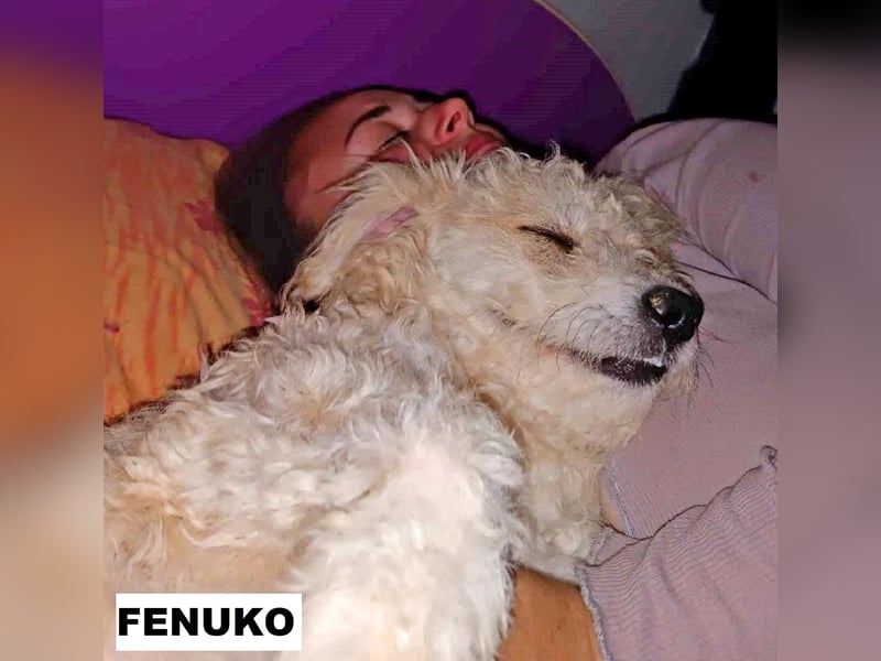 Fenuko sucht liebe Menschen