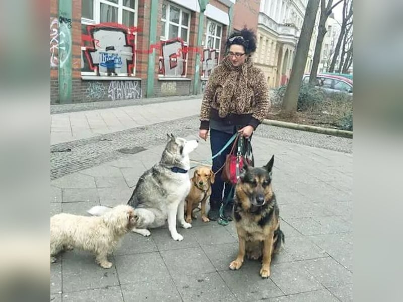 Biete Hundebetreung