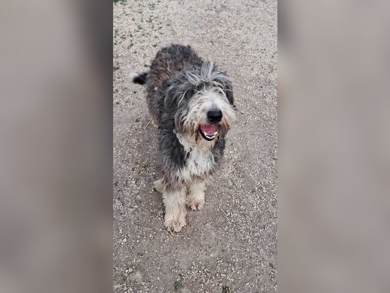 Lena freundlich kinderlieb mit großem Herz