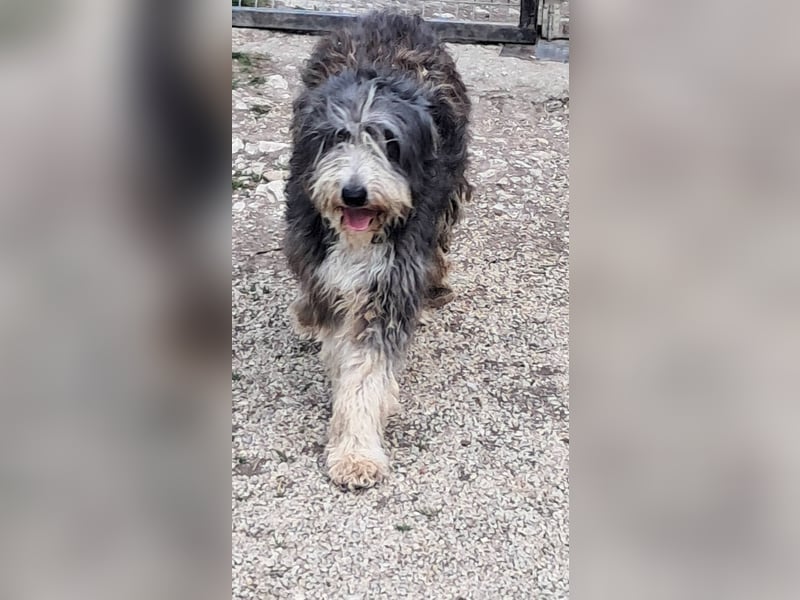 Lena freundlich kinderlieb mit großem Herz