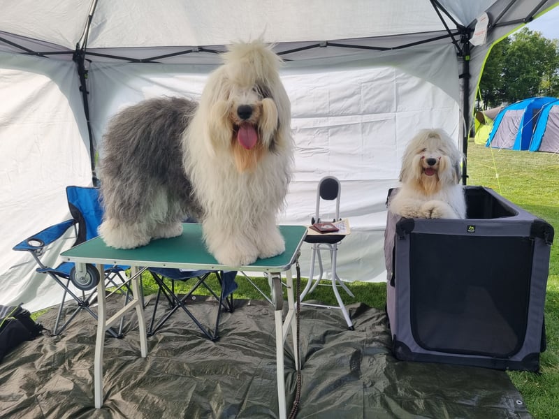 Unsere Welpen sind geboren .....