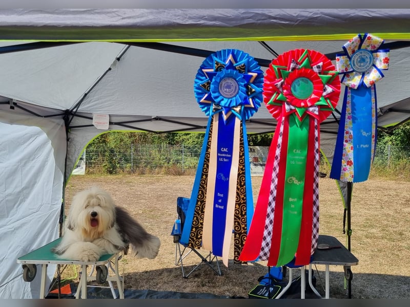 Unsere Welpen sind geboren .....