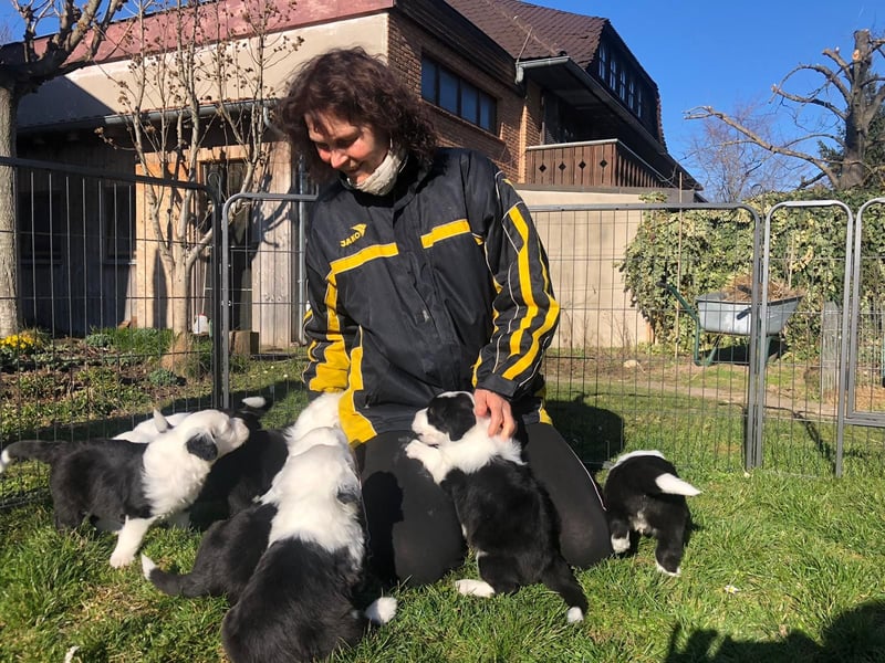 Unsere Welpen sind geboren .....