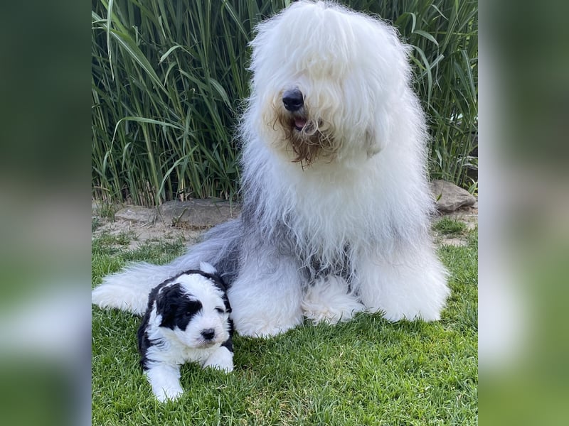 Unsere Aenne hatte ein vielversprechendes Date