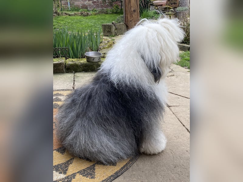 Unsere Aenne hatte ein vielversprechendes Date