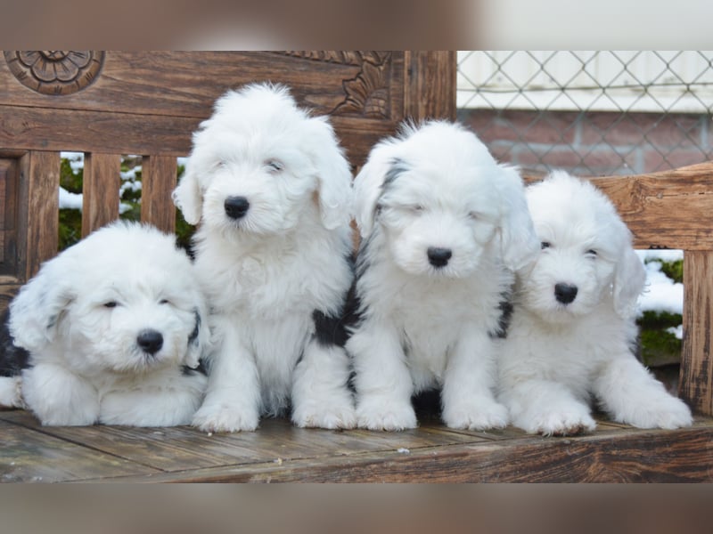 Unsere Aenne hatte ein vielversprechendes Date