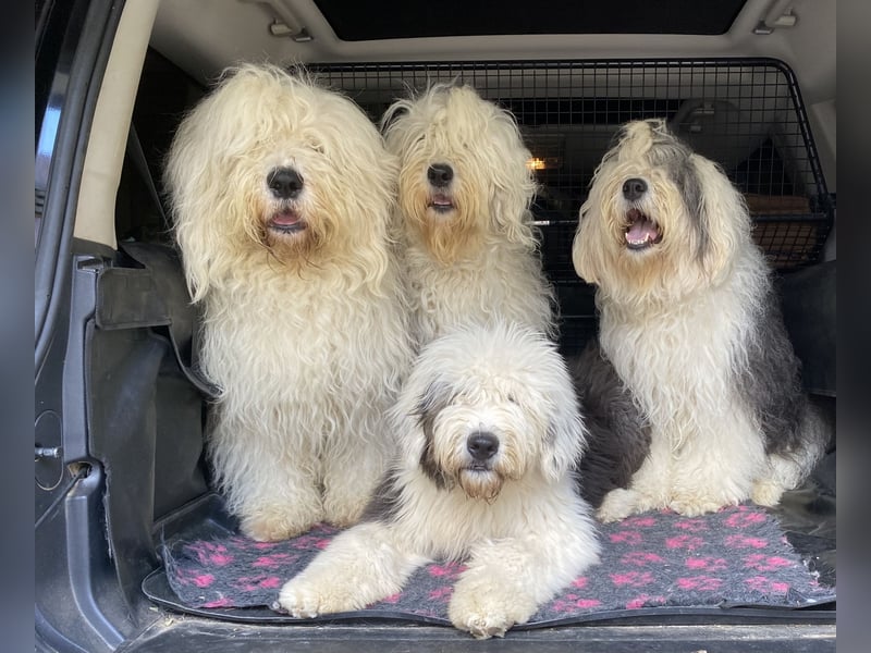 Unsere Aenne hatte ein vielversprechendes Date