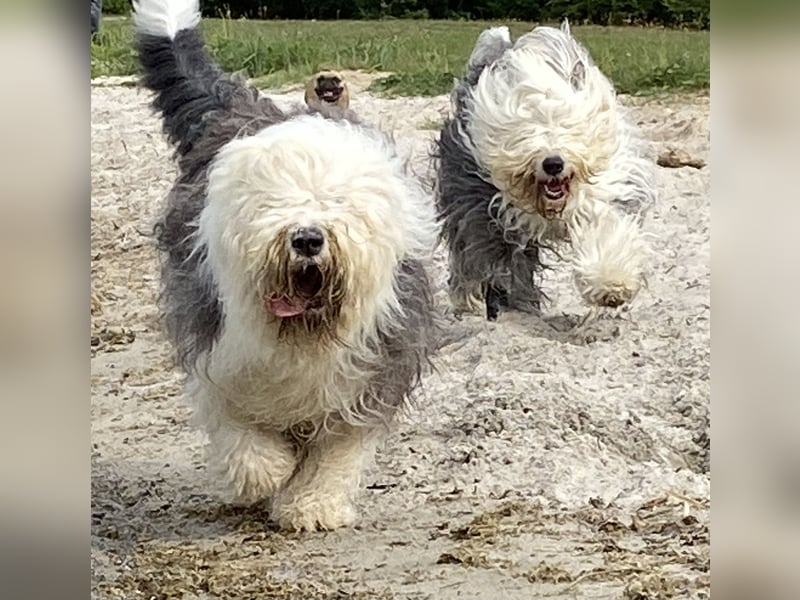 Unsere Aenne hatte ein vielversprechendes Date