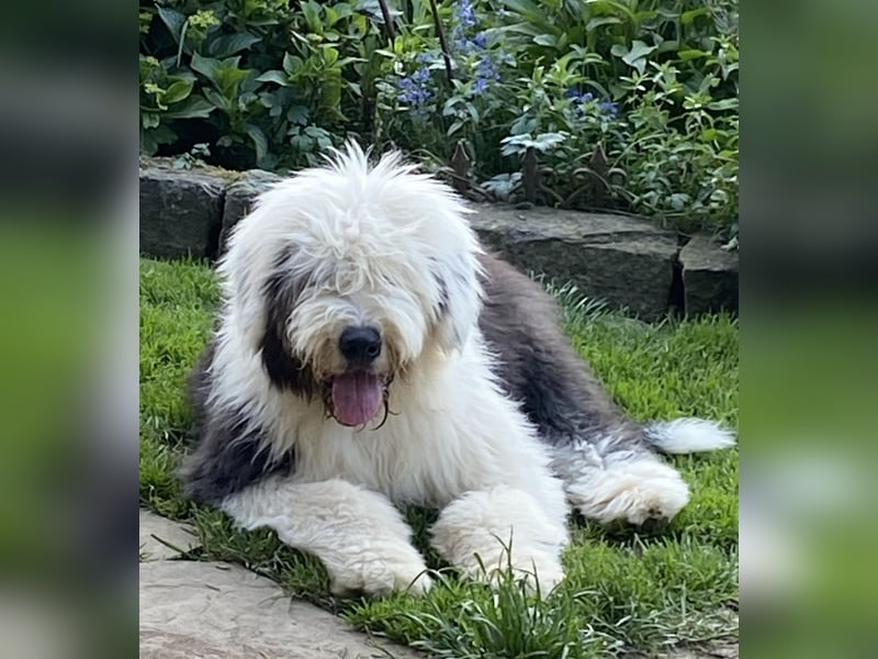 Unsere Aenne hatte ein vielversprechendes Date