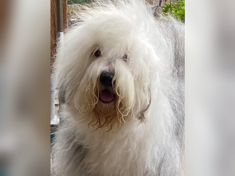 Unsere Aenne hatte ein vielversprechendes Date