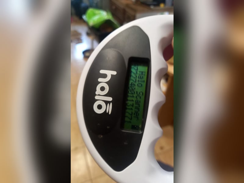 Lotti 2 PP – Kleine Bologneser-Omi sucht ruhiges Für-immer-Zuhause