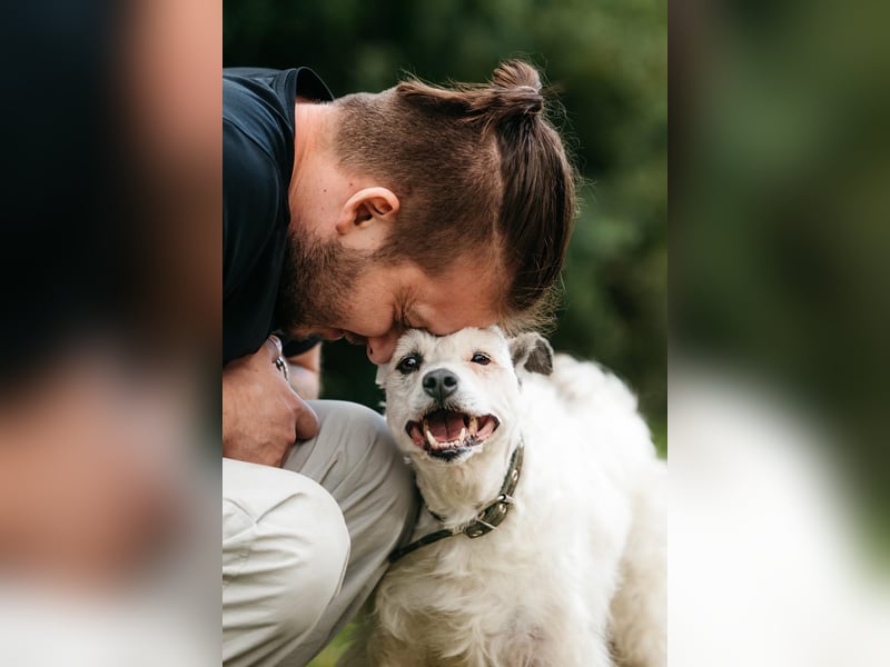 Ruhiges Zuhause für Nancy gesucht
