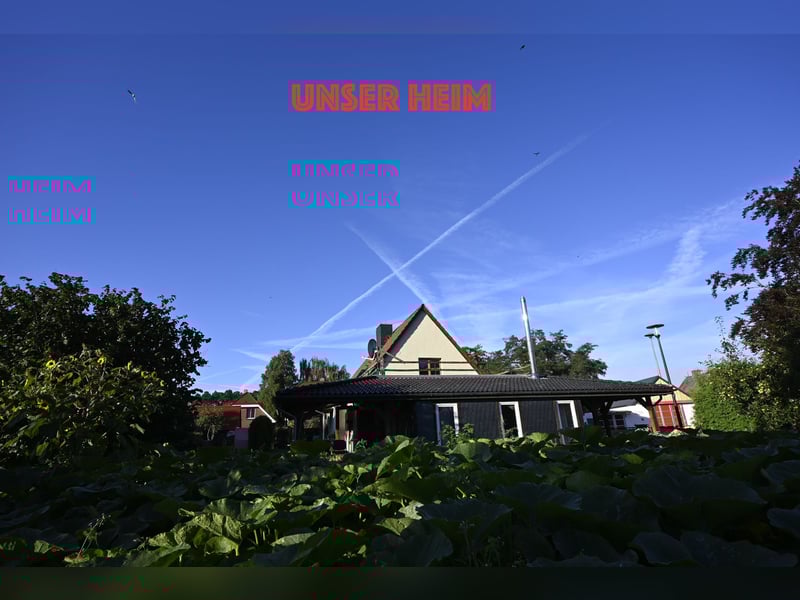 Wunderschöne & kerngesunde Welpen - deluxe Vollsaustattung mit Ahnentafel!