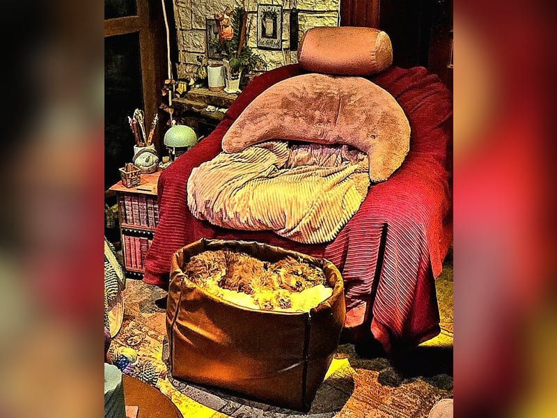 Bolonka Zwetna Mädchen